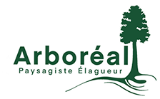 Arboréal Paysage