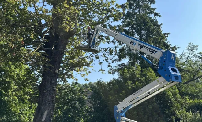 Élagage doux dans le respect de la santé de l’arbre, Mouvaux, Arboréal